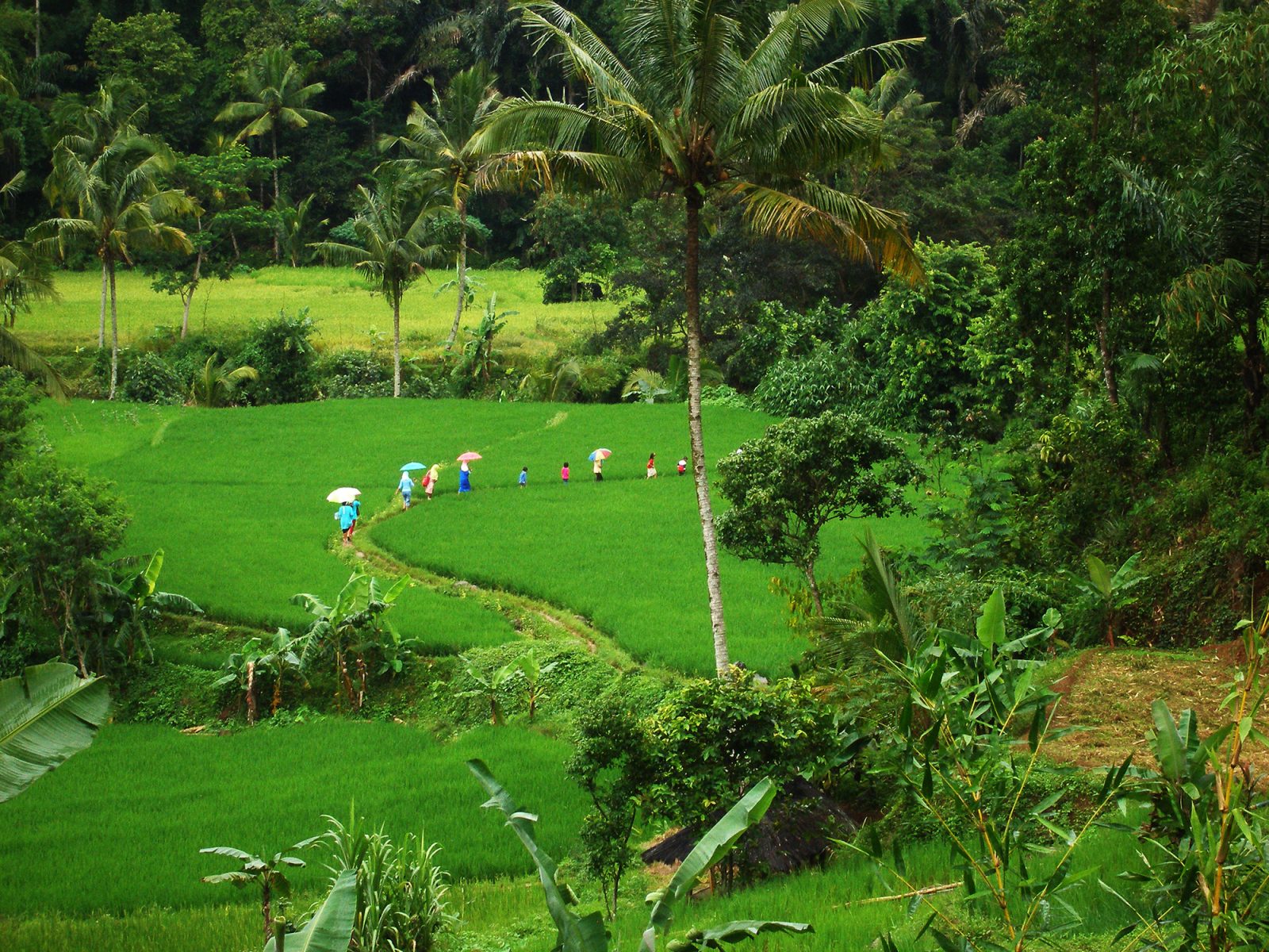 banner_pamundayan-1 banner pamundayan 1
